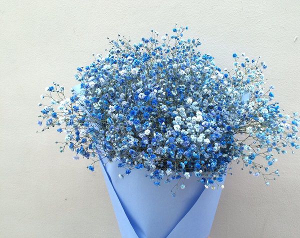 Hoa baby xanh an nhiên nhẹ nhàng